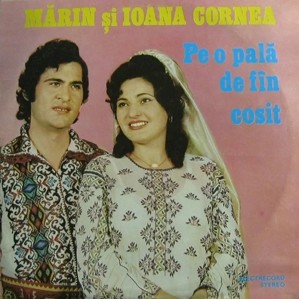 Pe-o Pală De Fîn Cosit