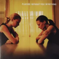 Without You I'm Nothing