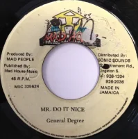 Mr. Do It Nice