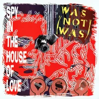 Spy In The House Of Love