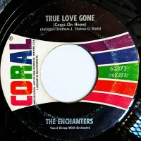 True Love Gone (Come On Home) / The Day