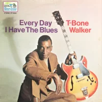 Every Day I Have The Blues