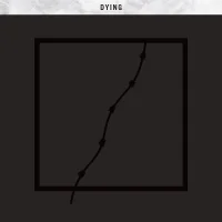 Dying - Woodwork