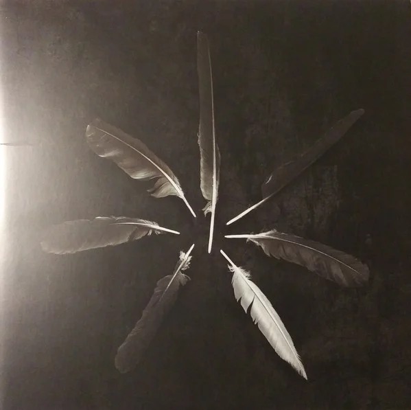 Dust And Disquiet