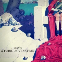 A Furious Vexation