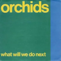 What Will We Do Next?