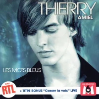 Les Mots Bleus
