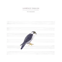 The Peregrine