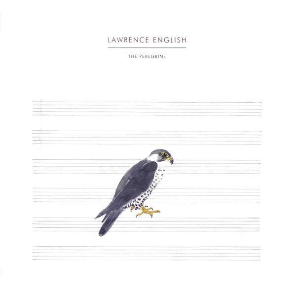 The Peregrine