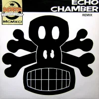 Echo Chamber (Remix)