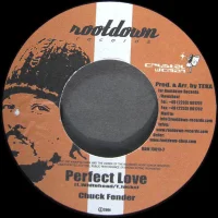 Perfect Love / Got To Be Conscious