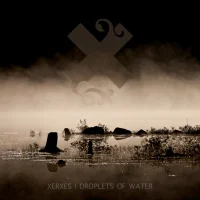 Droplets Of Water
