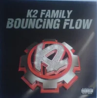 Bouncing Flow