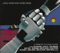 Still Wish You Were Here: A Tribute To Pink Floyd