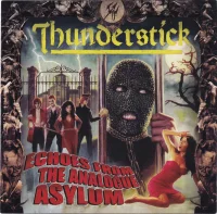 Echoes From The Analogue Asylum