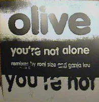 You're Not Alone (Remixes)