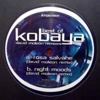 Best Of Kobaya - David Moleon Remixes