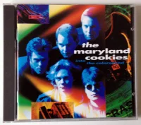 Into The Colorsound