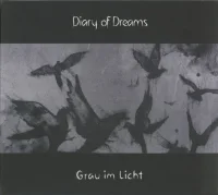Grau Im Licht