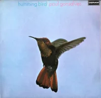 Humming Bird