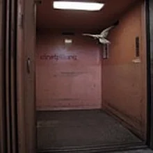 Wings Of Desire