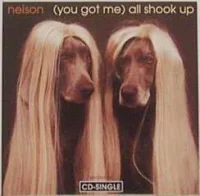 (You Got Me) All Shook Up