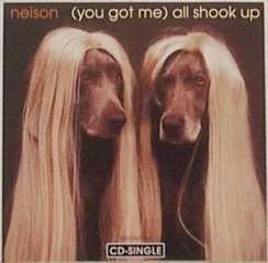 (You Got Me) All Shook Up