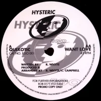 Quixotic / Want Love