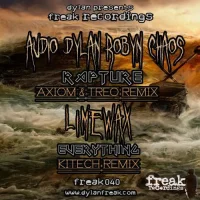 Rapture / Everything Remixes