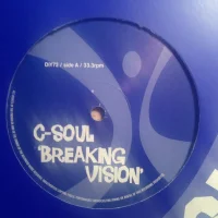 Breaking Vision