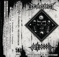 Consecrated In Morbidity