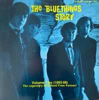 The Bluethings Story Volume Two (1965-1966)
