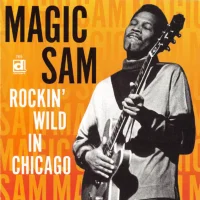 Rockin' Wild In Chicago