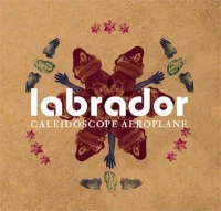 Caleidoscope Aeroplane
