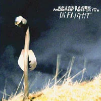In Flight