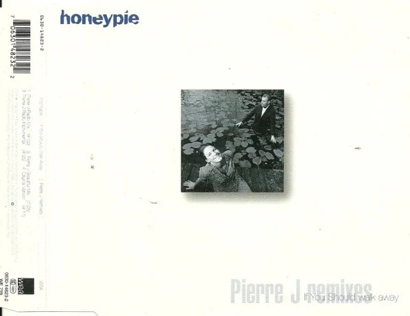If You Should Walk Away (Pierre J Remixes)
