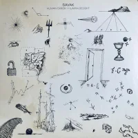 Human Error / Human Delight