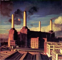 Animals