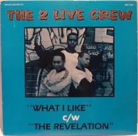 What I Like / The Revelation