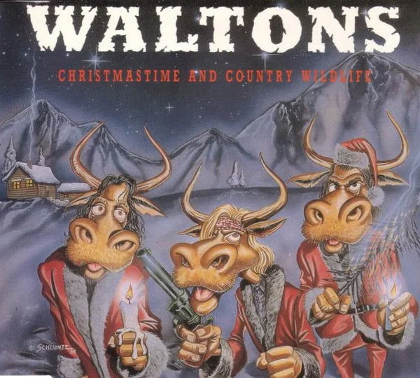 Christmastime And Country Wildlife