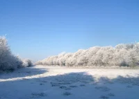 The Bridesmaid & The Partial Eclipse