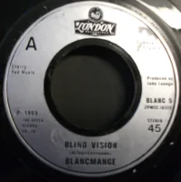 Blind Vision