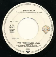 Hate To Loose Your Lovin'