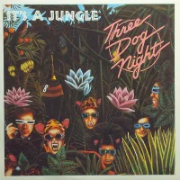 It's A Jungle