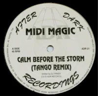 Calm Before The Storm / Fantasia (Remixes)