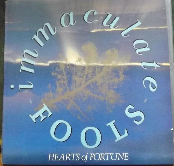 Hearts Of Fortune