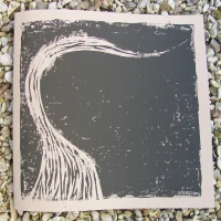 Evidence Of Fractures / Summer Passes