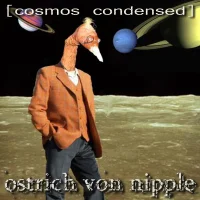 Cosmos Condensed