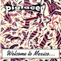 Welcome To Mexico...Asshole