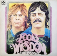 Fool's Wisdom